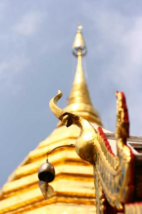 เที่ยววัดพระธาตุดอยสุเทพ พระตำหนักภูพิงค์ บ้านแม้วดอยปุย เชียงใหม่ เพียง 500 บาท